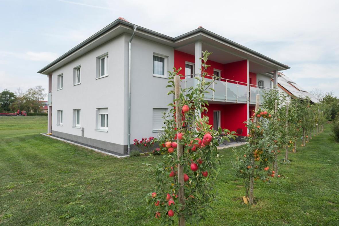 Hofmann'S Apartements & Ferienwohnungen Oberdachstetten Екстер'єр фото