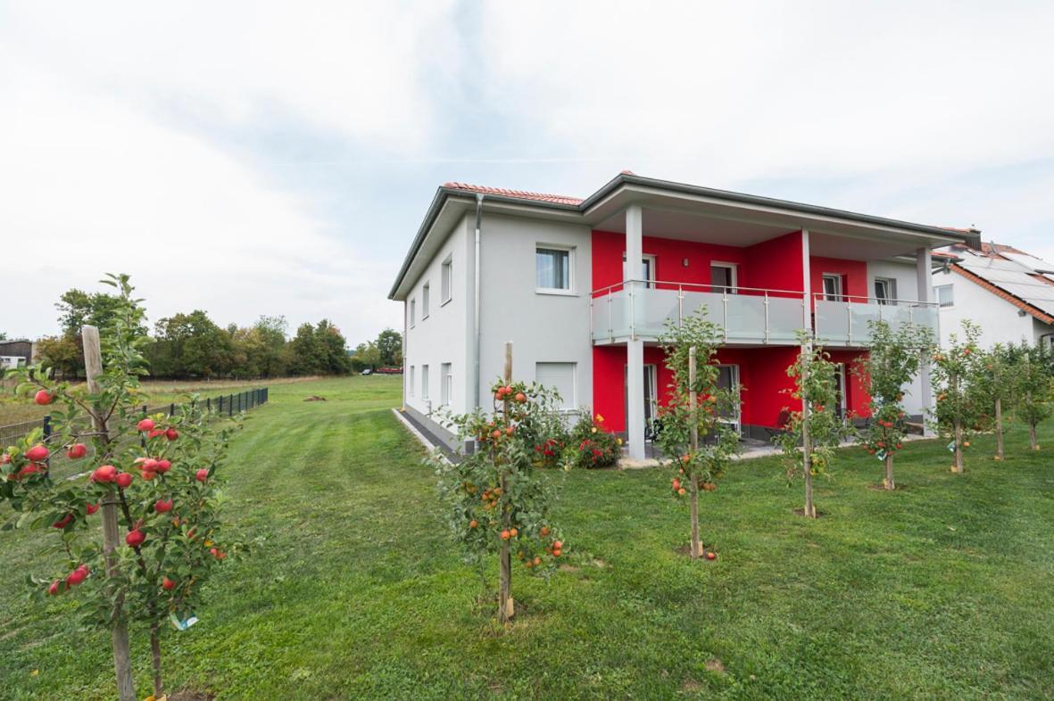 Hofmann'S Apartements & Ferienwohnungen Oberdachstetten Екстер'єр фото